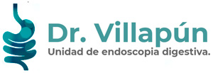 logo-digesvilla
